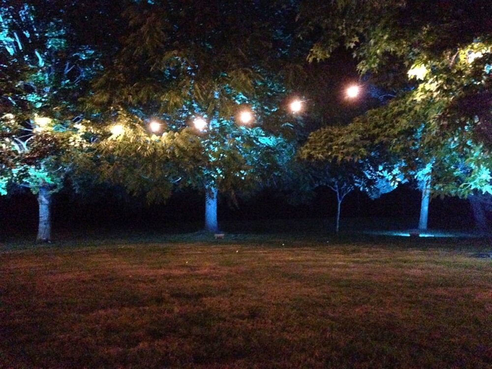 Outside Festoons & LED Colour Changing Uplights