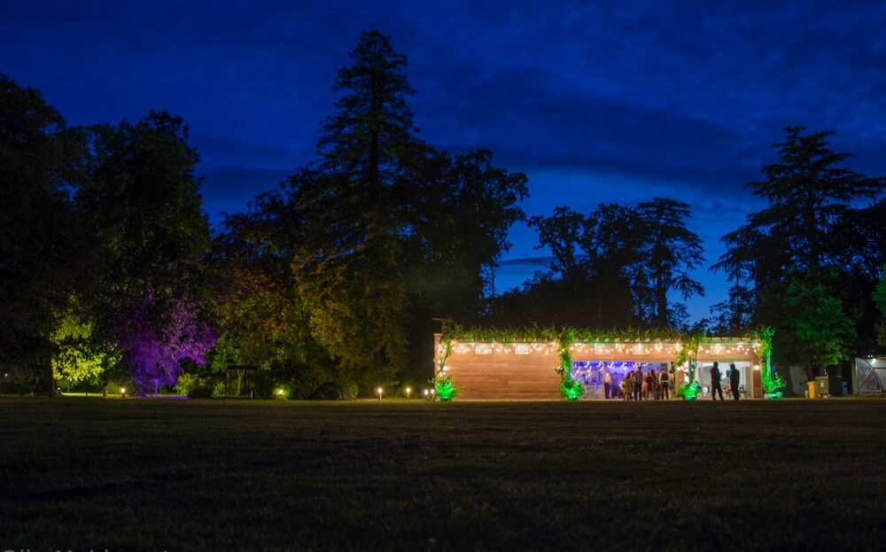 Outside Festoons & Uplights