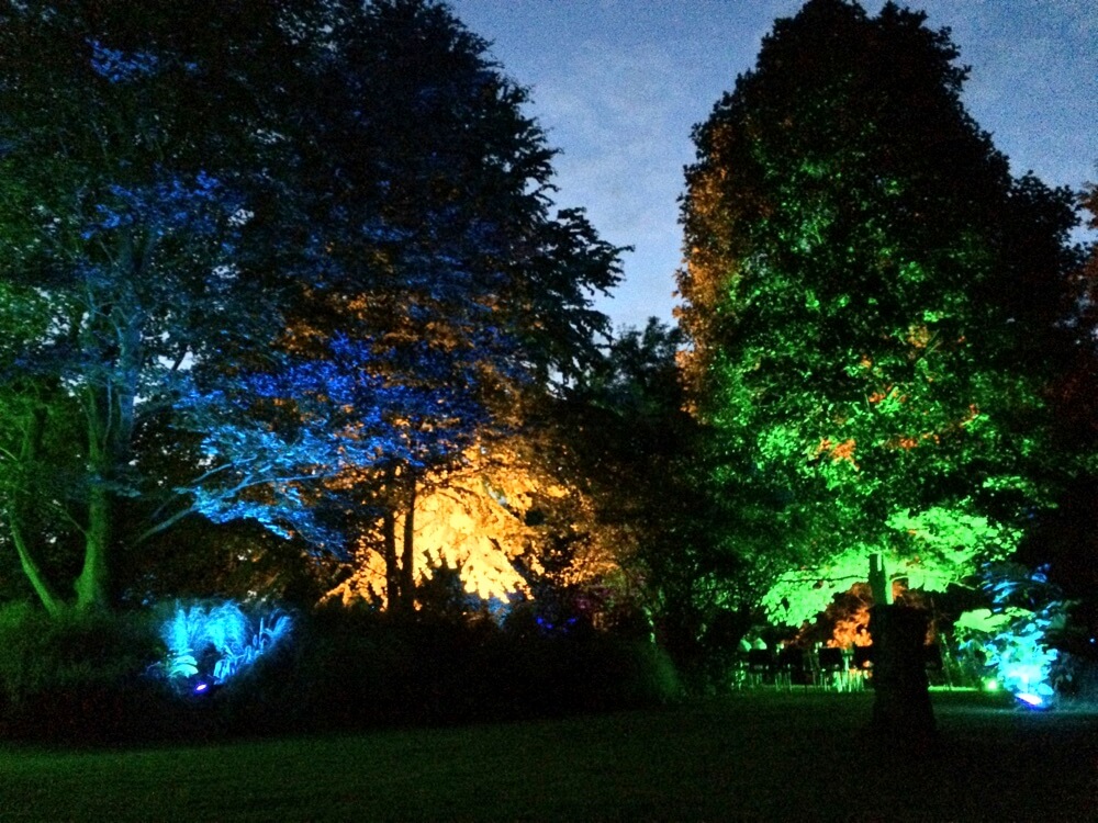 Romsey Corporate Garden Party - Lighting